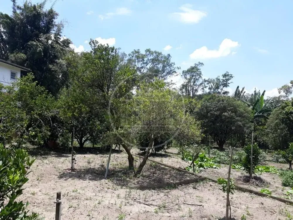 Chácara, 3 quartos, 1800 m² - Foto 6