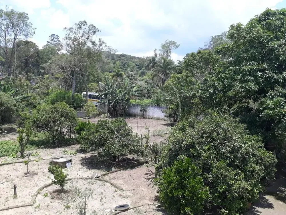 Chácara, 3 quartos, 1800 m² - Foto 3