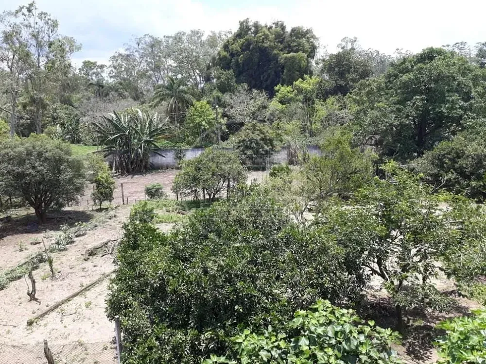 Chácara, 3 quartos, 1800 m² - Foto 15