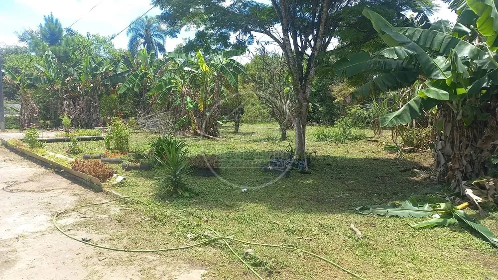 Chácara, 3 quartos, 1500 m² - Foto 6
