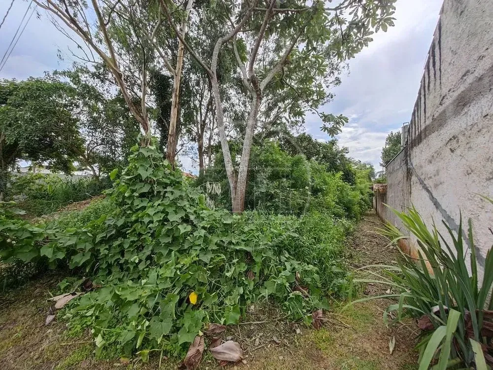 Terreno, 504 m² - Foto 4