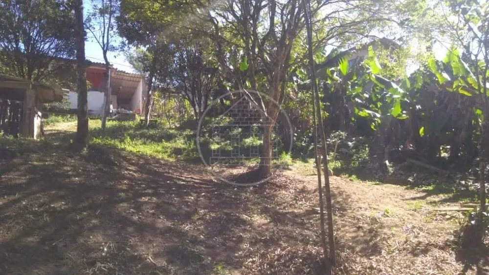 Chácara, 3 quartos, 600 m² - Foto 4