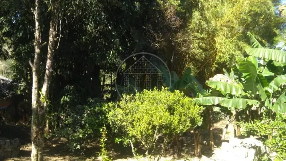 Chácara, 3 quartos, 600 m² - Foto 5
