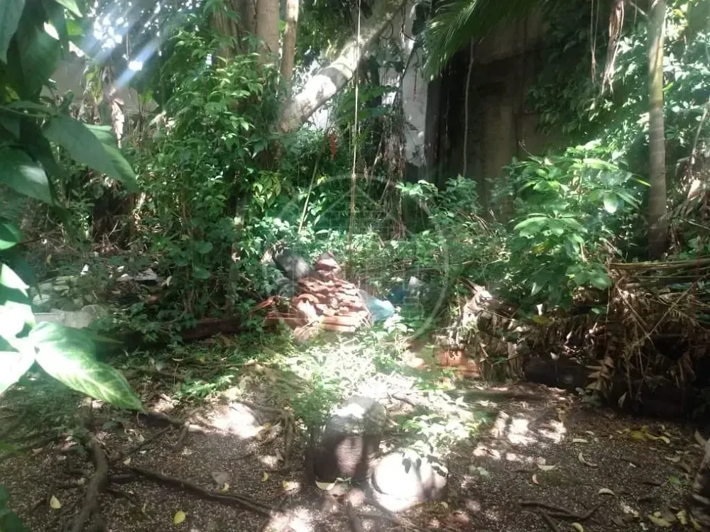 Casa, 2 quartos, 250 m² - Foto 3