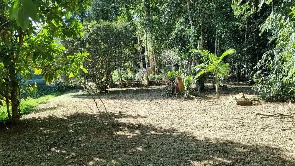 Casa, 3 quartos, 350 m² - Foto 6