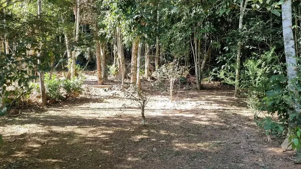 Casa, 3 quartos, 350 m² - Foto 7