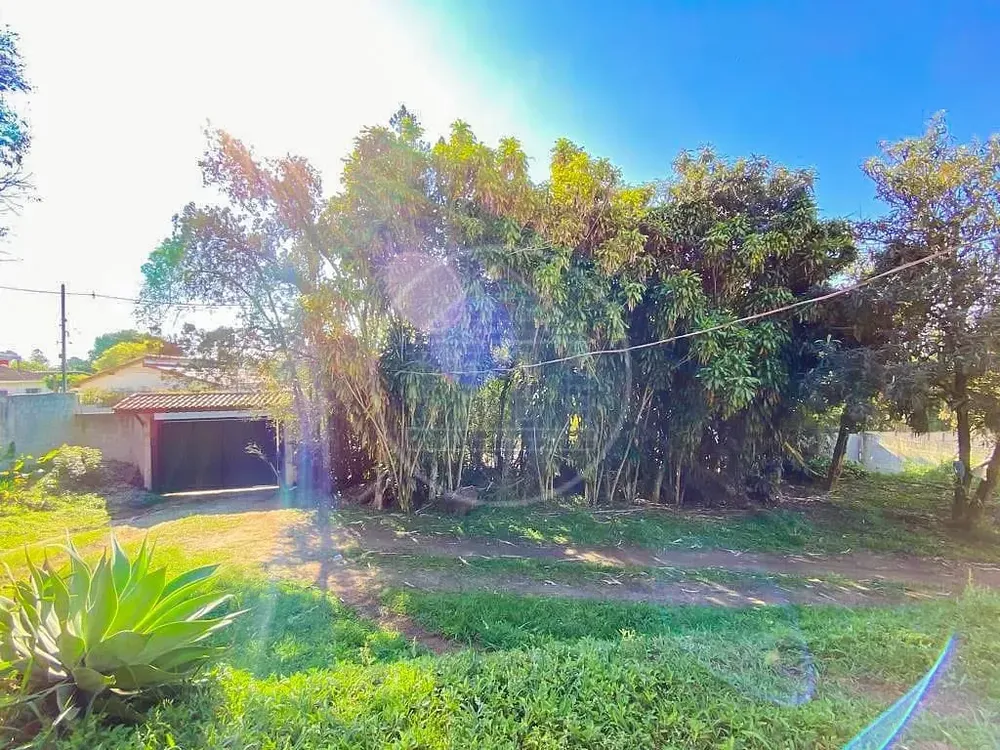 Terreno, 3 hectares - Foto 7