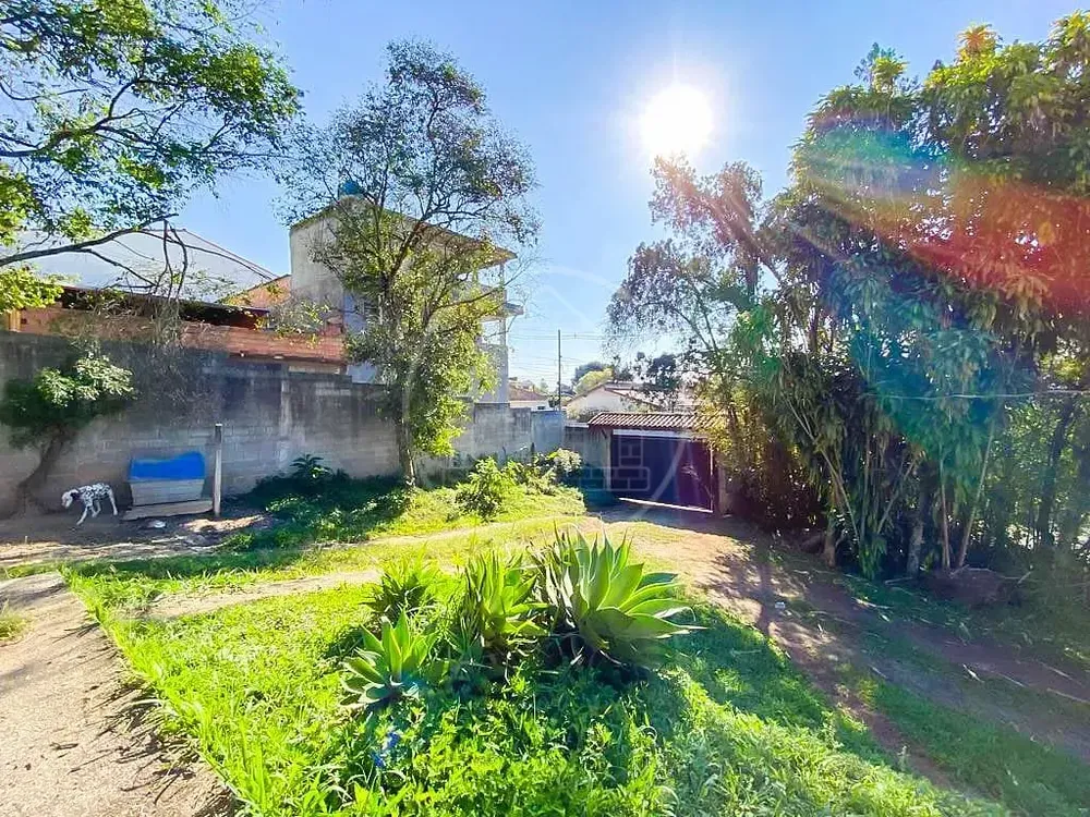 Terreno, 3 hectares - Foto 6