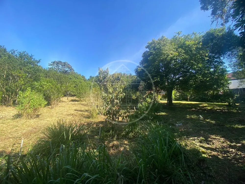 Terreno, 2650 m² - Foto 1