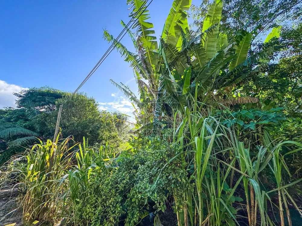 Terreno, 5330 m² - Foto 10