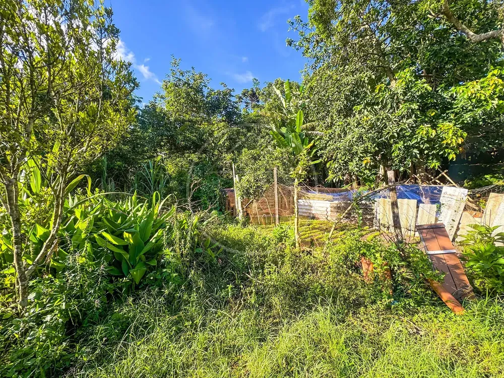 Terreno, 5330 m² - Foto 13