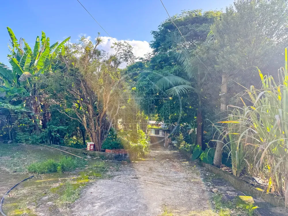 Terreno, 5330 m² - Foto 11
