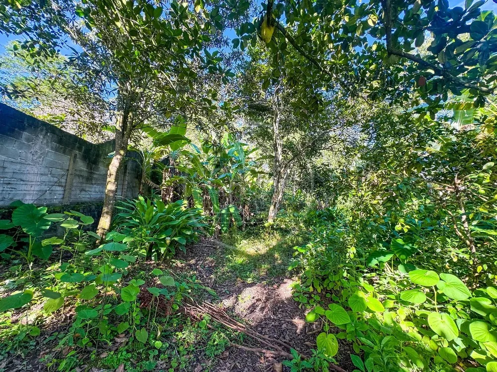 Terreno, 5330 m² - Foto 8