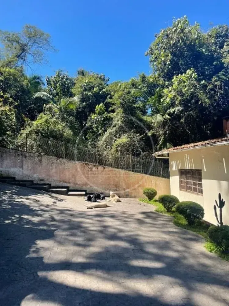 Casa, 3 quartos, 333 m² - Foto 14