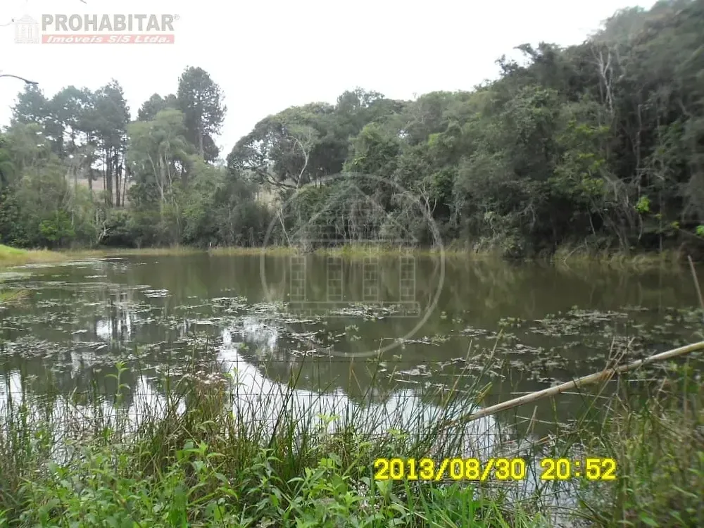 Chácara, 3 quartos, 2 hectares - Foto 3