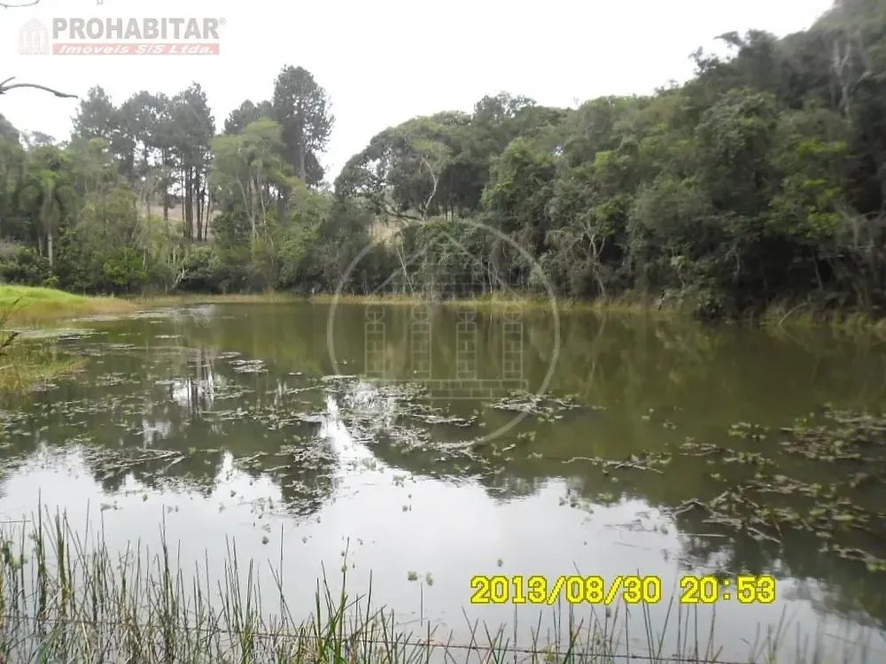 Chácara, 3 quartos, 2 hectares - Foto 4