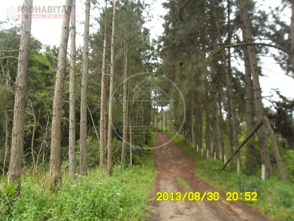 Chácara, 3 quartos, 2 hectares - Foto 1