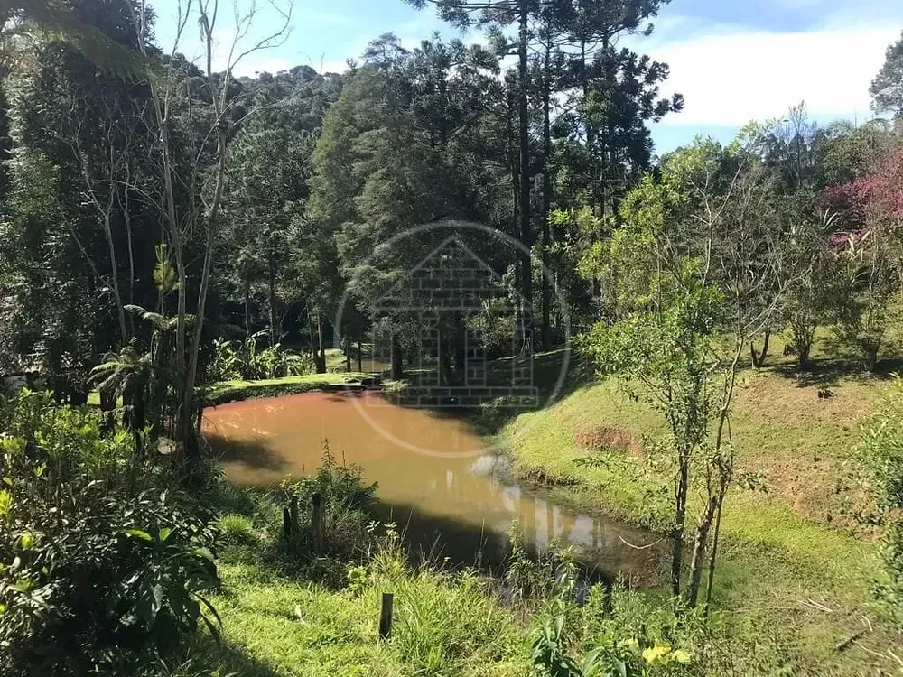 Sítio, 5 quartos, 34 hectares - Foto 11