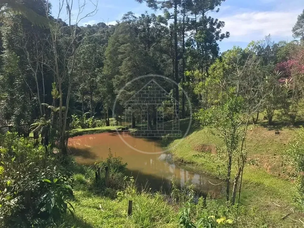 Sítio, 5 quartos, 34 hectares - Foto 8