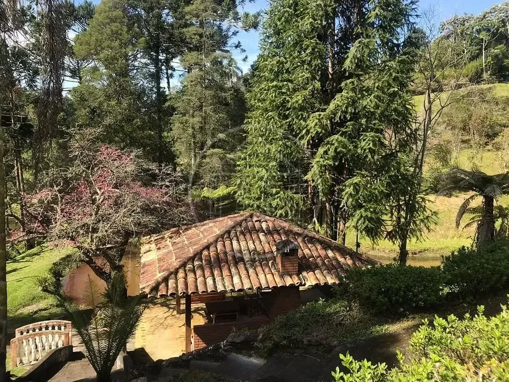 Sítio, 5 quartos, 34 hectares - Foto 13