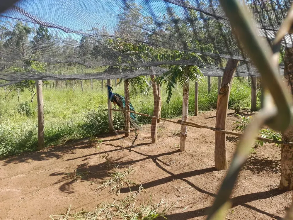 Sítio, 3 quartos, 2 hectares - Foto 1