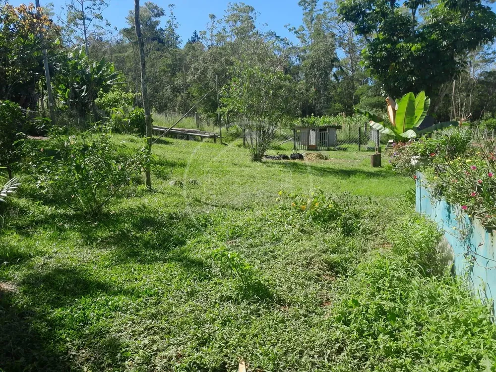 Sítio, 3 quartos, 2 hectares - Foto 6