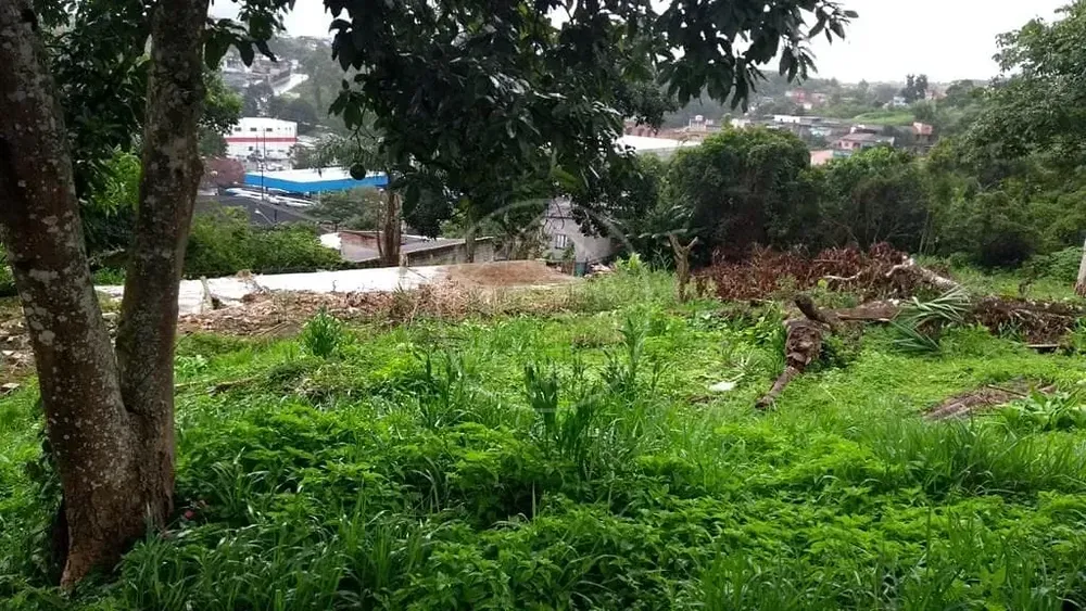 Terreno, 536 m² - Foto 8