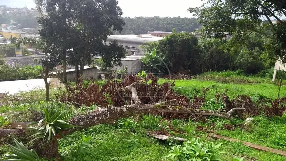 Terreno, 536 m² - Foto 1