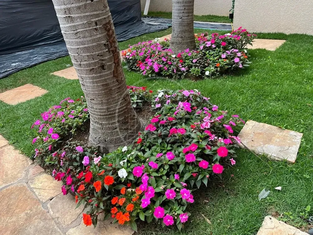 Casa, 4 quartos, 335 m² - Foto 5
