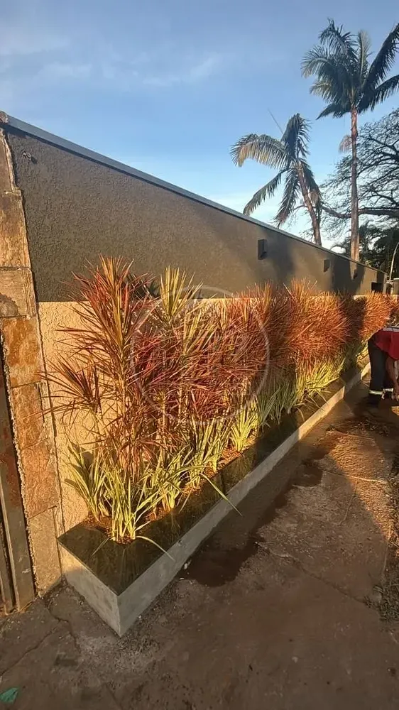 Casa, 4 quartos, 335 m² - Foto 12