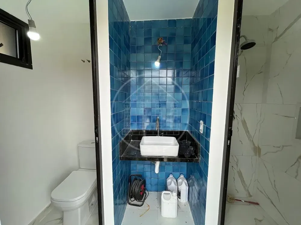 Casa, 4 quartos, 335 m² - Foto 11