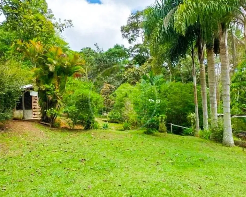 Chácara, 4 quartos, 3000 m² - Foto 9