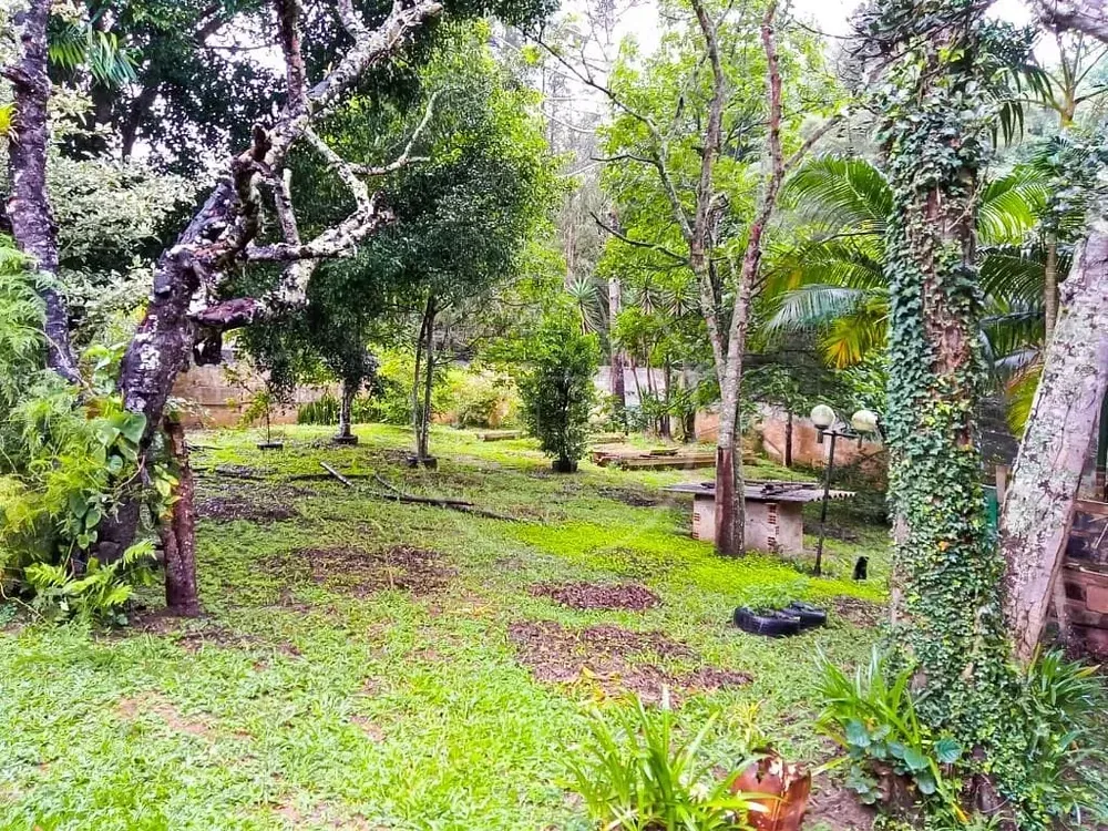 Chácara, 4 quartos, 3000 m² - Foto 7