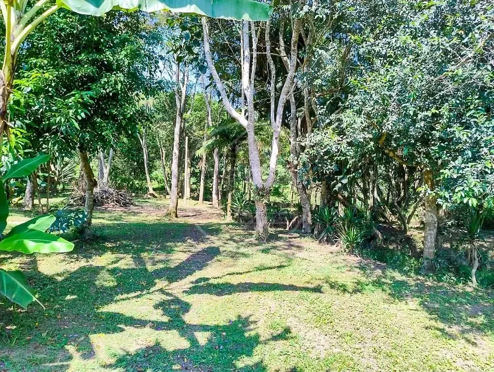 Chácara, 2 quartos, 2000 m² - Foto 14