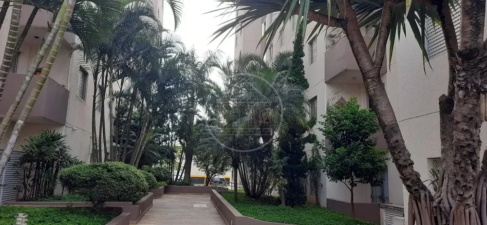 Apartamento, 3 quartos, 60 m² - Foto 3