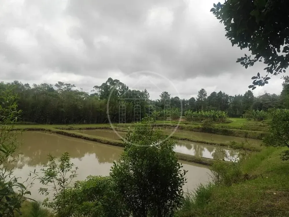 Terreno, 1 hectares - Foto 9