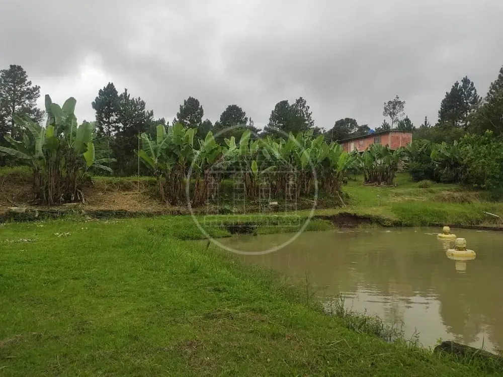 Terreno, 1 hectares - Foto 12