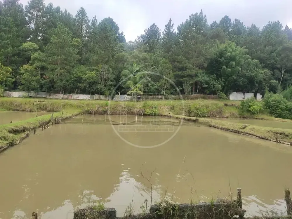 Terreno, 1 hectares - Foto 7