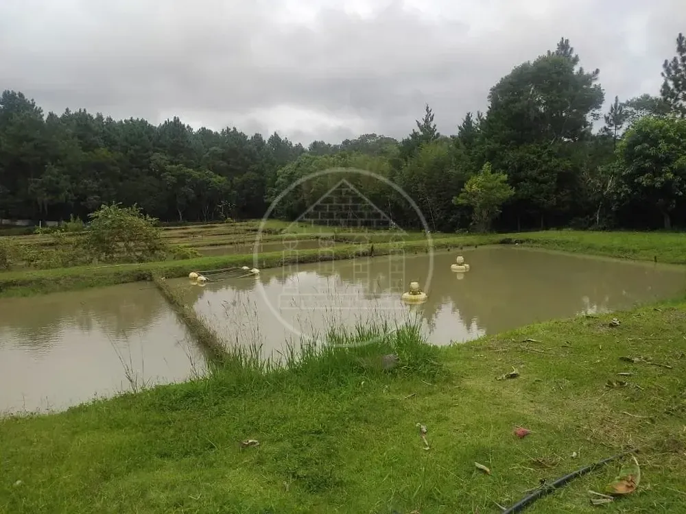 Terreno, 1 hectares - Foto 15