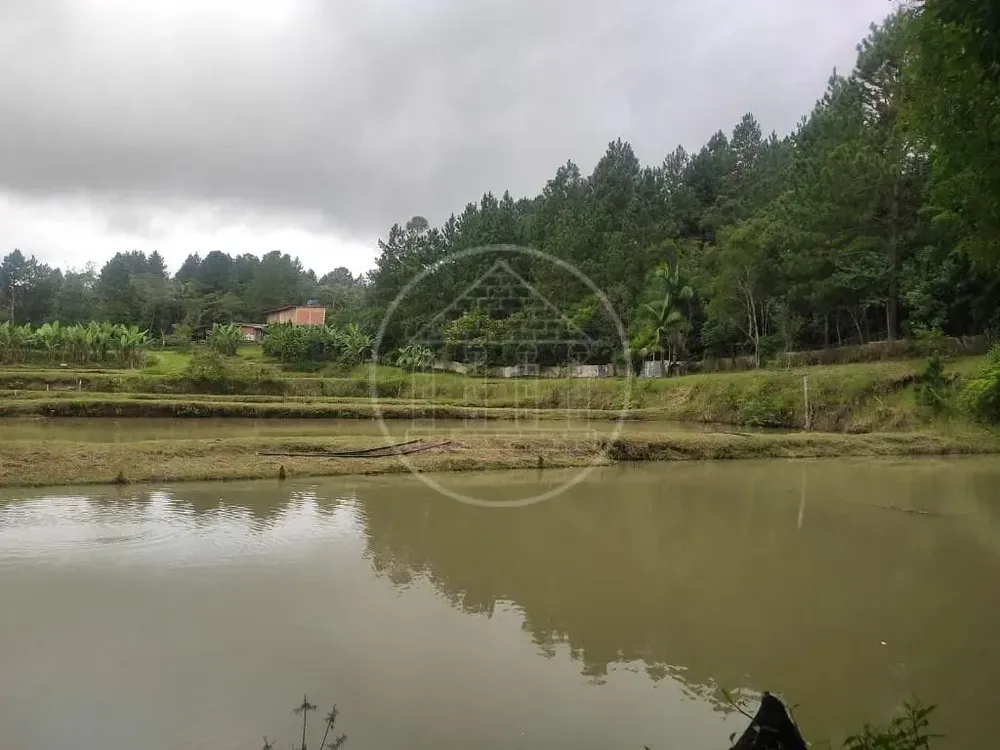 Terreno, 1 hectares - Foto 10