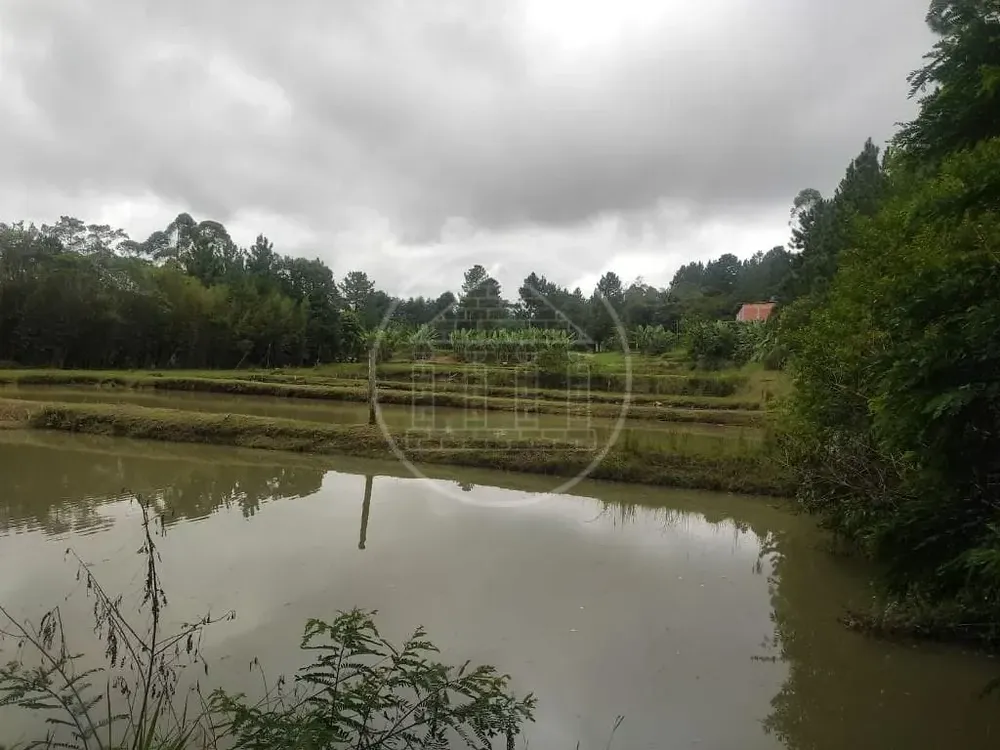 Terreno, 1 hectares - Foto 8