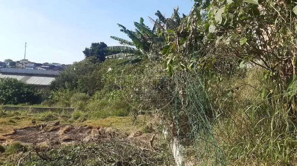 Terreno, 4200 m² - Foto 15
