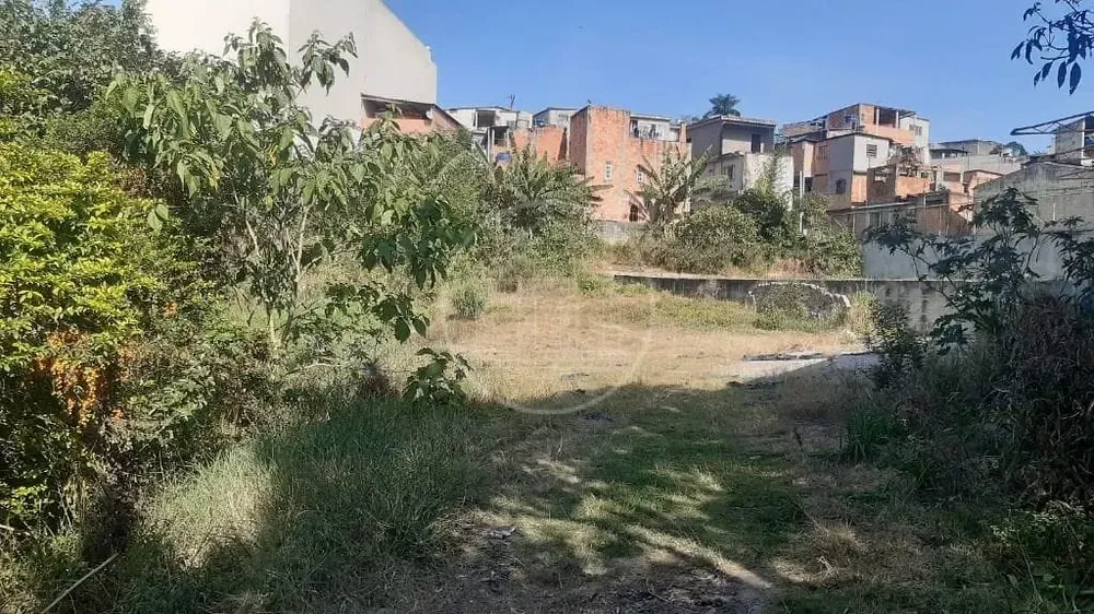 Terreno, 4200 m² - Foto 4