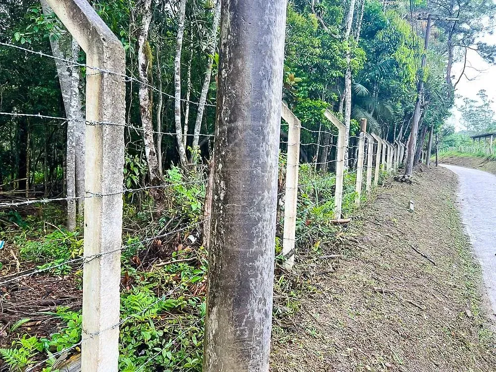 Terreno, 6 hectares - Foto 3