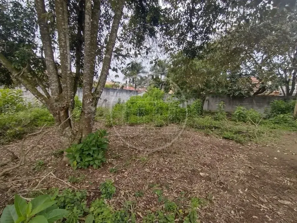Terreno, 1466 m² - Foto 5