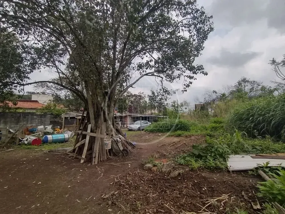 Terreno, 1466 m² - Foto 6