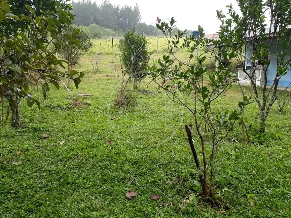 Chácara, 5 quartos, 5000 m² - Foto 11