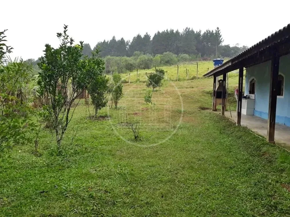 Chácara, 5 quartos, 5000 m² - Foto 8