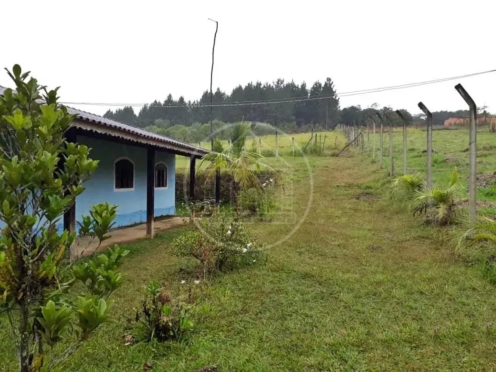 Chácara, 5 quartos, 5000 m² - Foto 7
