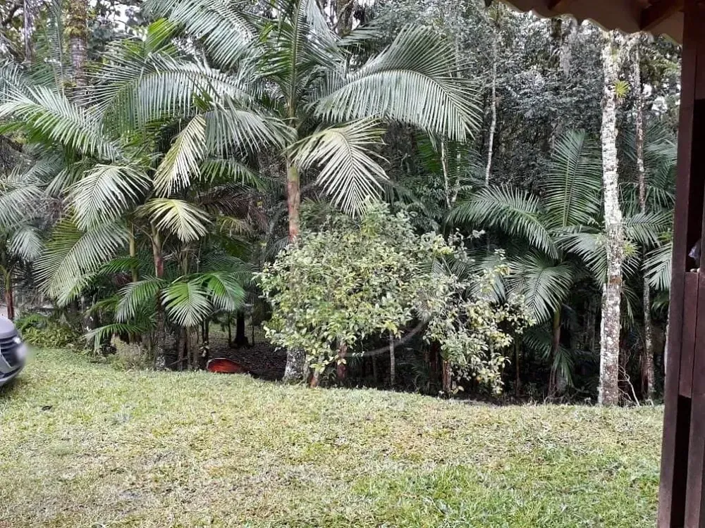 Chácara, 5 quartos, 5000 m² - Foto 3